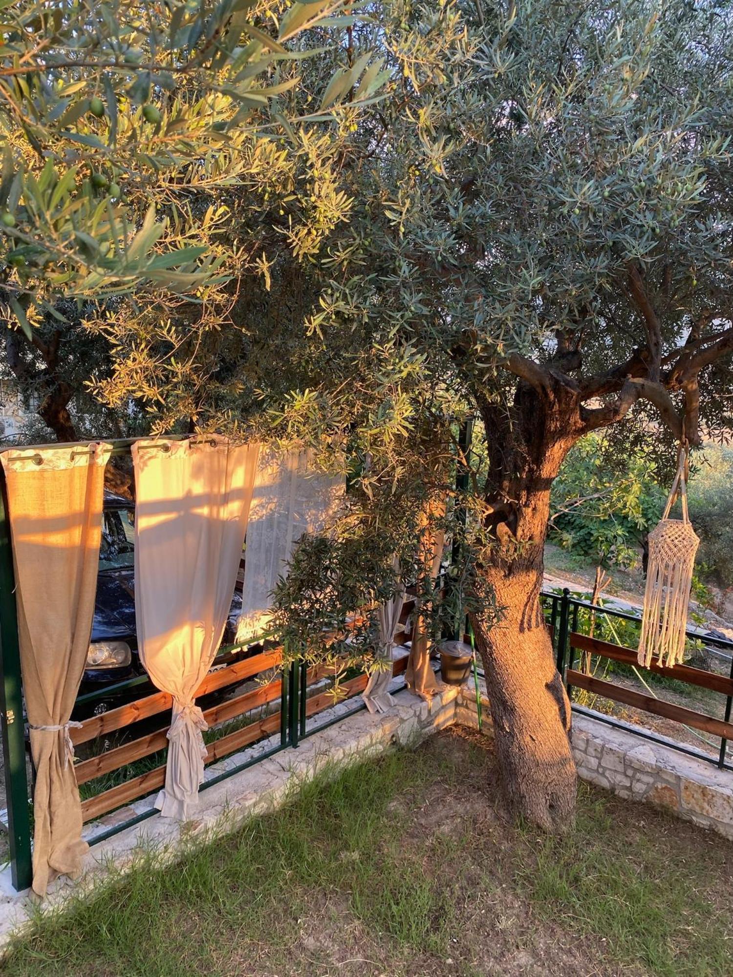 Villa Liodentro - Olea Plataria Exterior foto