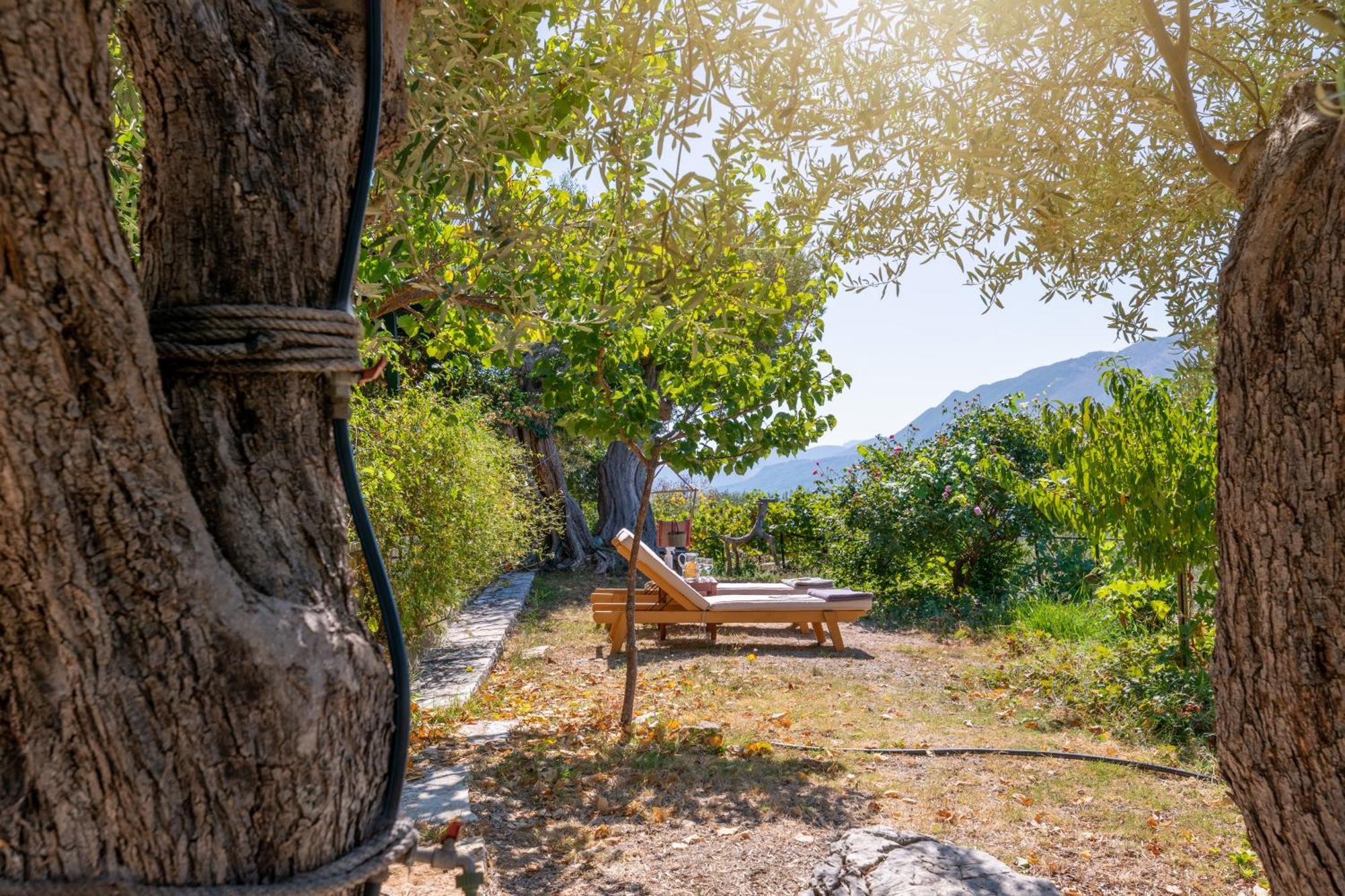 Villa Liodentro - Olea Plataria Exterior foto