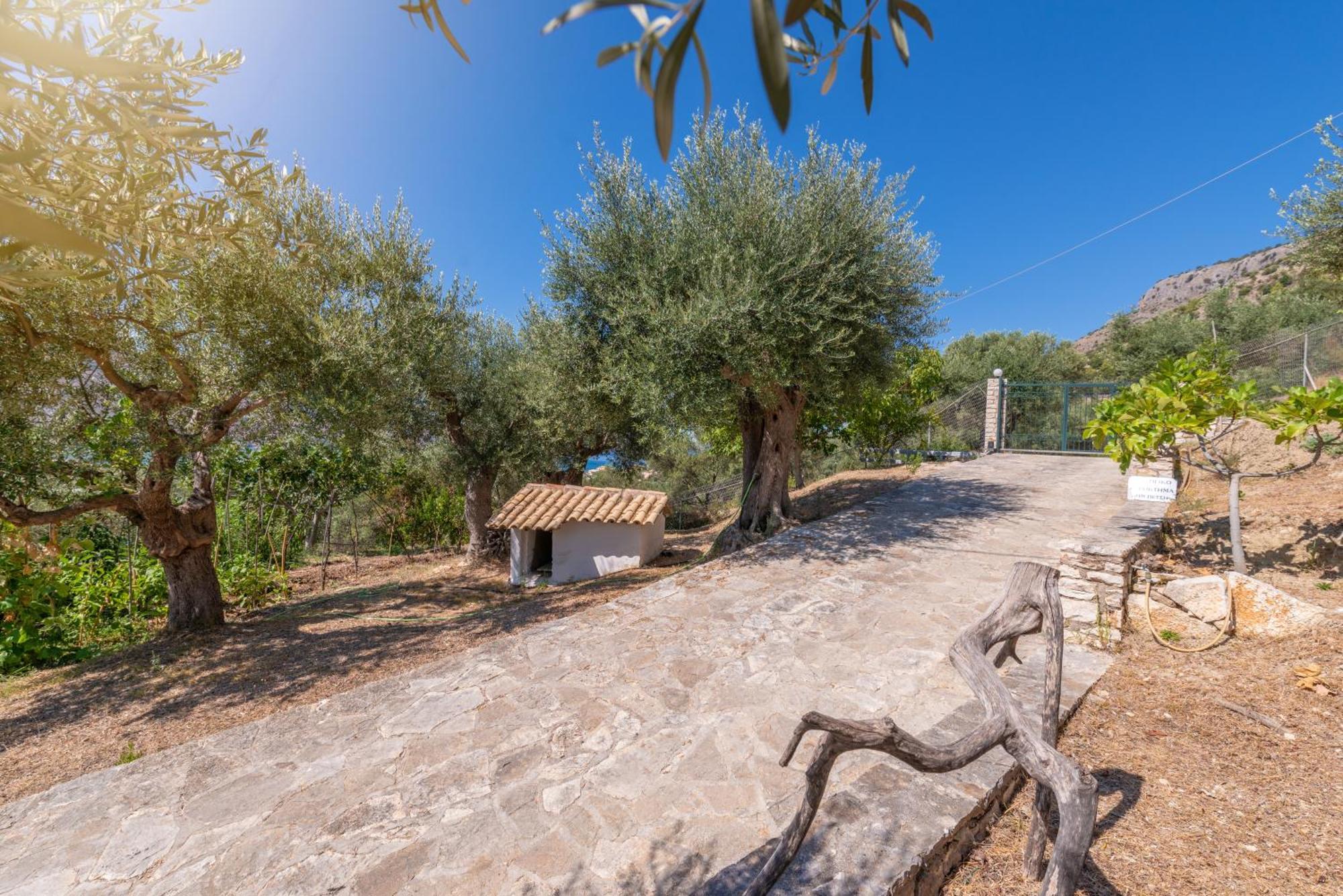Villa Liodentro - Olea Plataria Exterior foto
